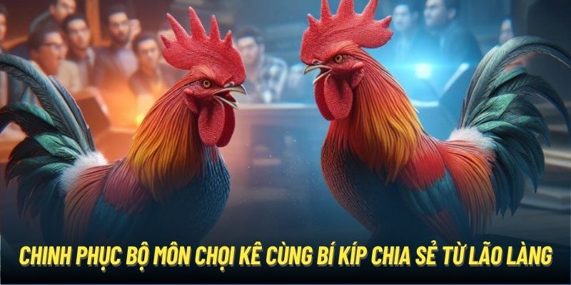 Bí kíp chơi kê Thomo - chia sẻ từ cao thủ tại OK365