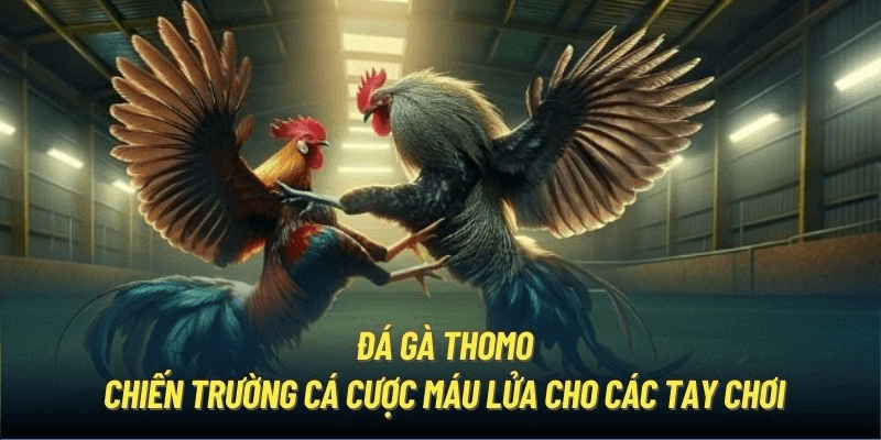 OK365 - Nhà cái cá cược trực tuyến uy tín hàng đầu năm 2024